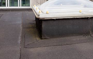 disadvantages of Thomshill flat roofs