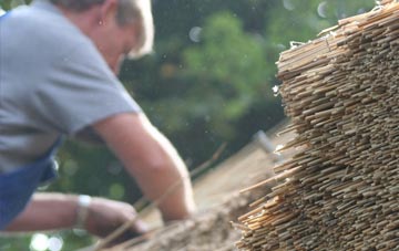 professional Thomshill thatchers